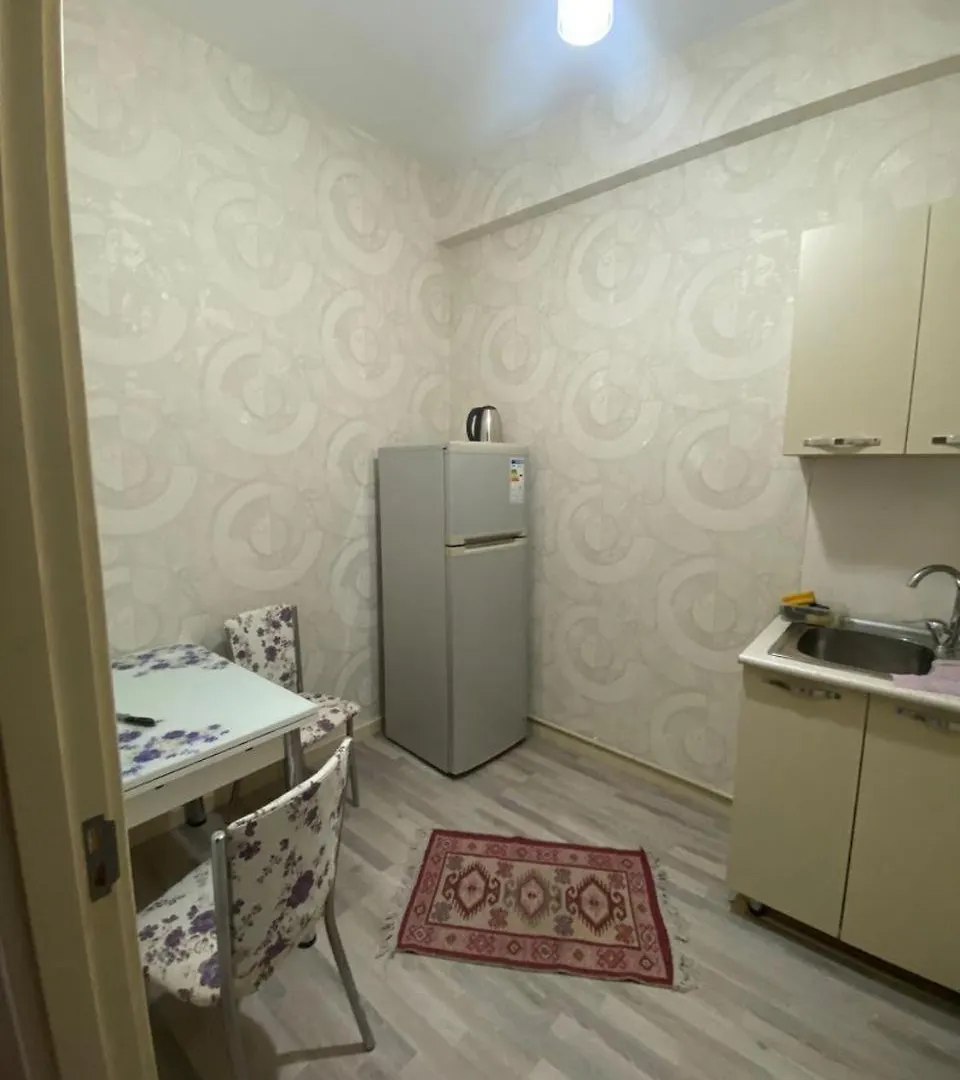 Cop29 Summit Accommodation - Cozy Apartment For Rent In Baku
