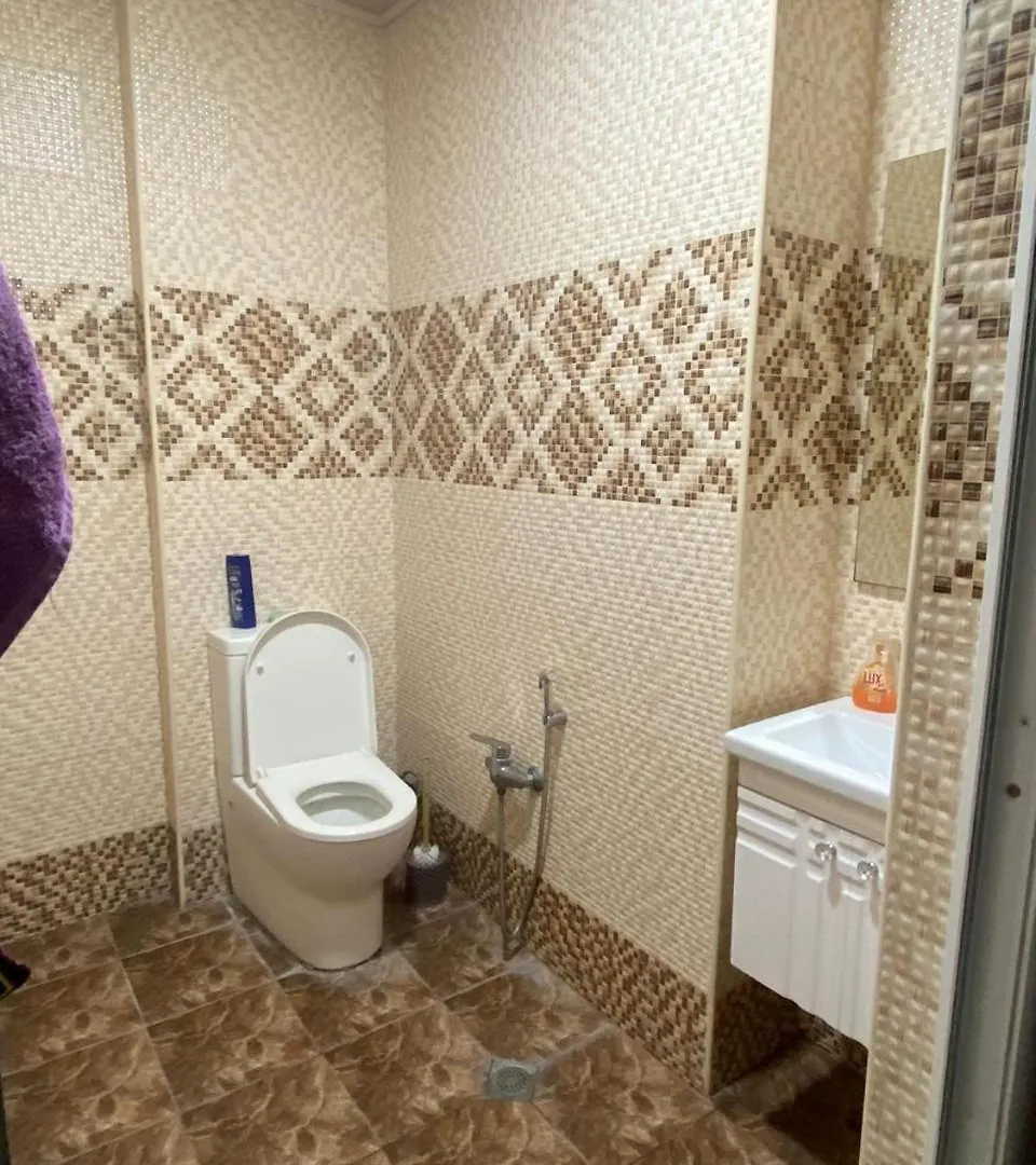 Cop29 Summit Accommodation - Cozy Apartment For Rent In Baku Azerbaijan